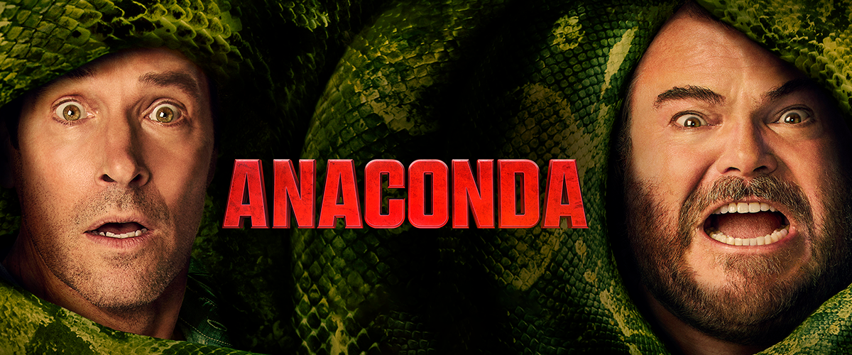 Banner horizontal